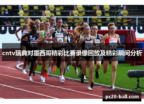 cntv瑞典对墨西哥精彩比赛录像回放及精彩瞬间分析