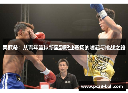 吴冠希：从青年篮球新星到职业赛场的崛起与挑战之路